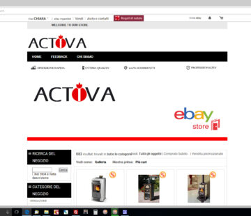 Grafica ebay Activa